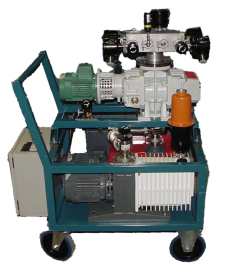 Vacuum pump combination